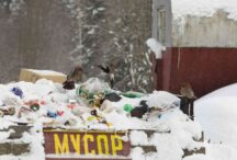 Junk Removal and Junk Hauling in Winter