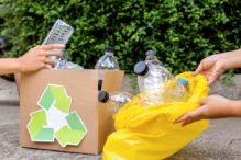 Efficient and Eco-Friendly Yard Waste Disposal