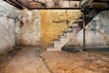 Basement Cleanouts