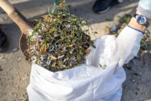 Yard Waste Disposal