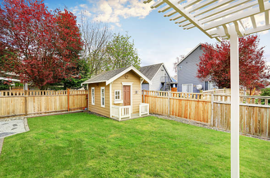Shed Removal 