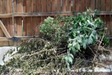 Efficient Yard Waste Removal for Santa Rosa, CA Homeowners