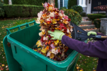 Seasonal Cleanouts