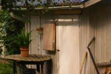 Shed Demolition