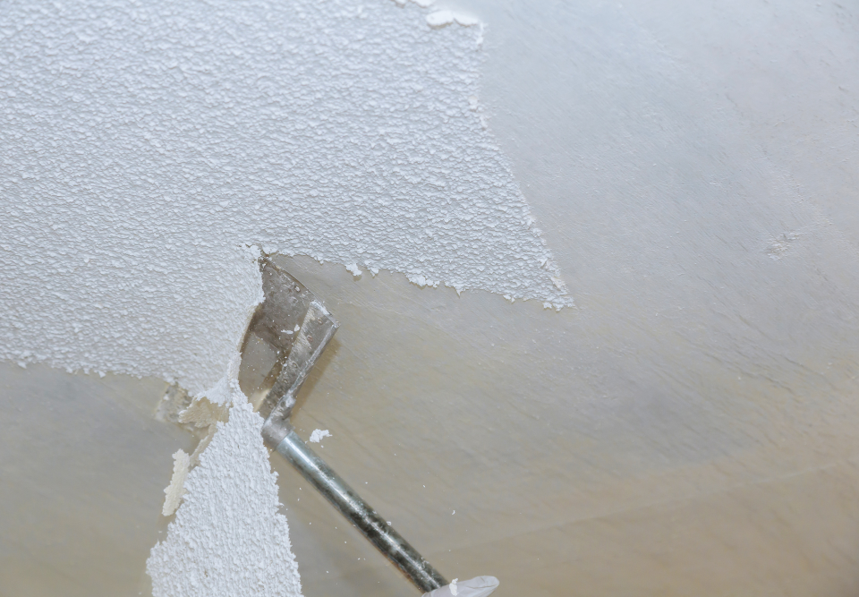 Drywall Removal