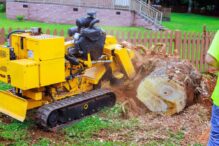 The Eco-Friendly Way to Remove Yard Waste in Santa Rosa, CA