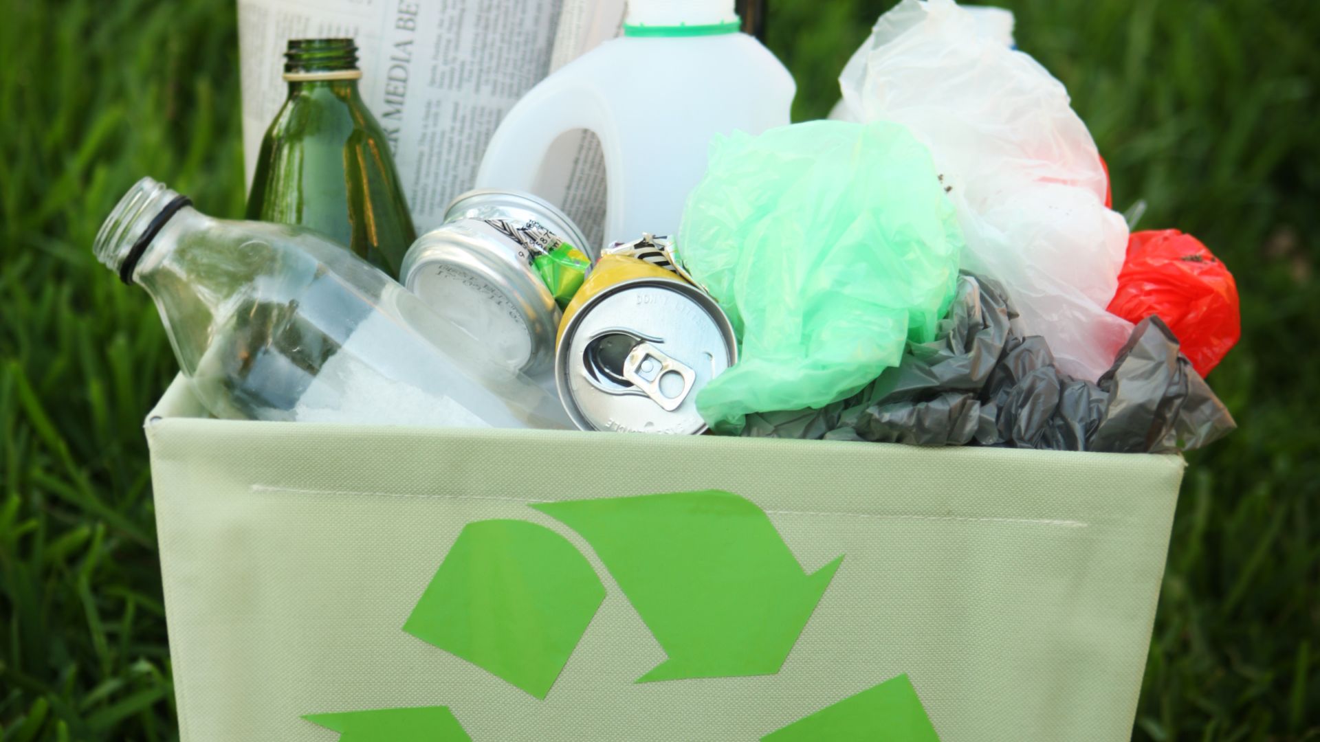 Junk Removal Near Me Reduces Pest Infestations Locally